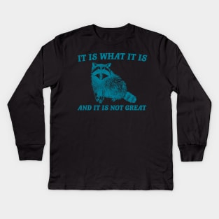 It Is What It Is And It Is Not Great Funny Raccoon Kids Long Sleeve T-Shirt